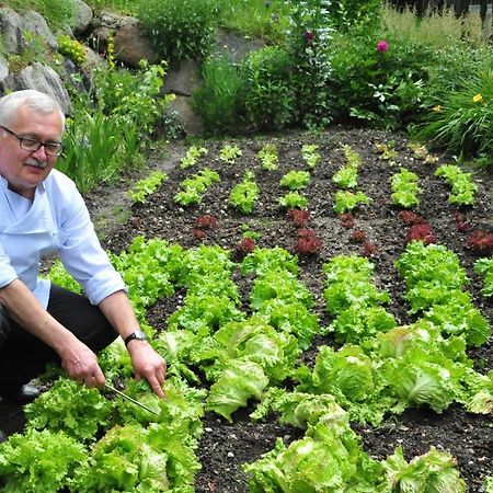 Pension Harrasser ファルツェス エクステリア 写真