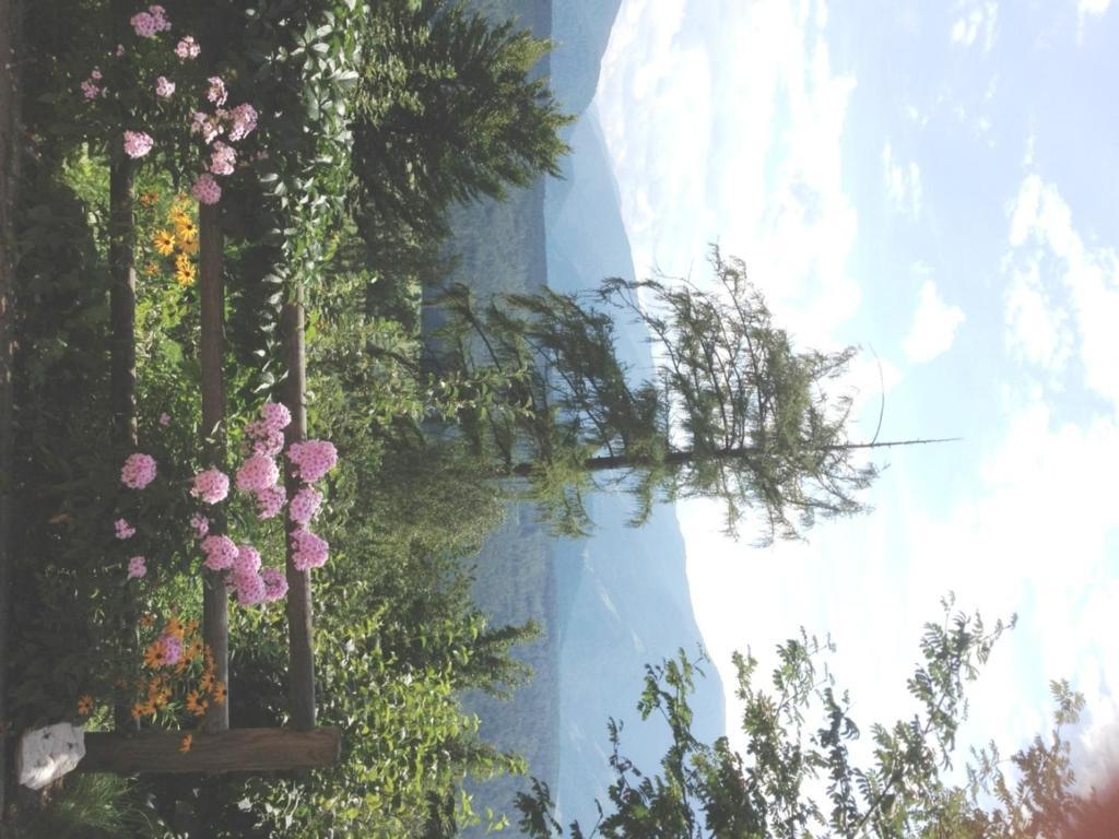 Pension Harrasser ファルツェス エクステリア 写真